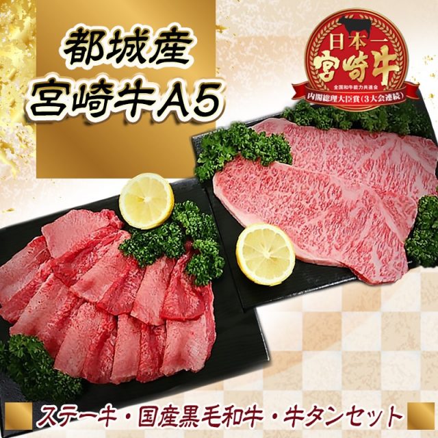 都城産宮崎牛（A5）ステーキ・国産黒毛和牛　牛タンセット